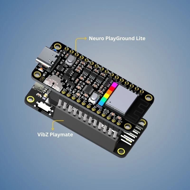 Neuro PlayGround Lite (NPG Lite)