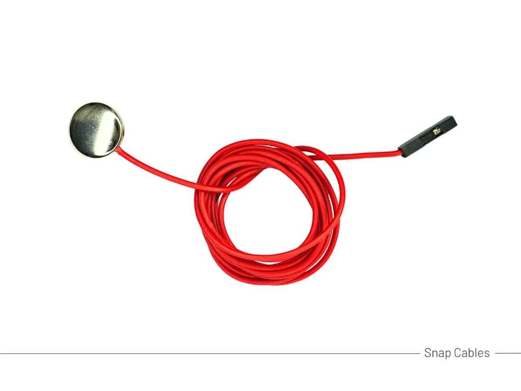 BioAmp NPG Cables